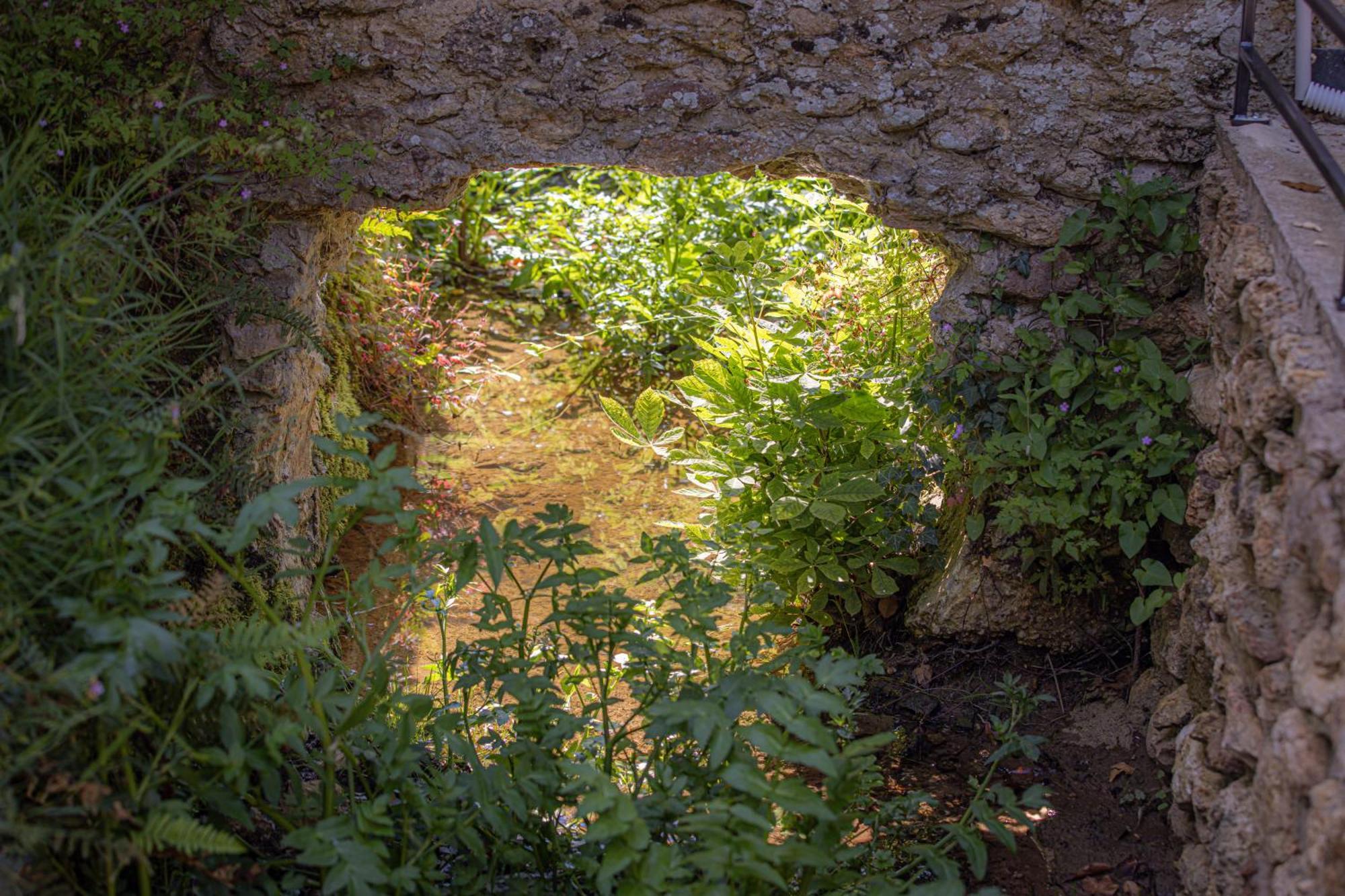Le Ru De Biche - 20Min Disney - Spa Du 01 05 Au 01 11 - Paisible Guérard Extérieur photo